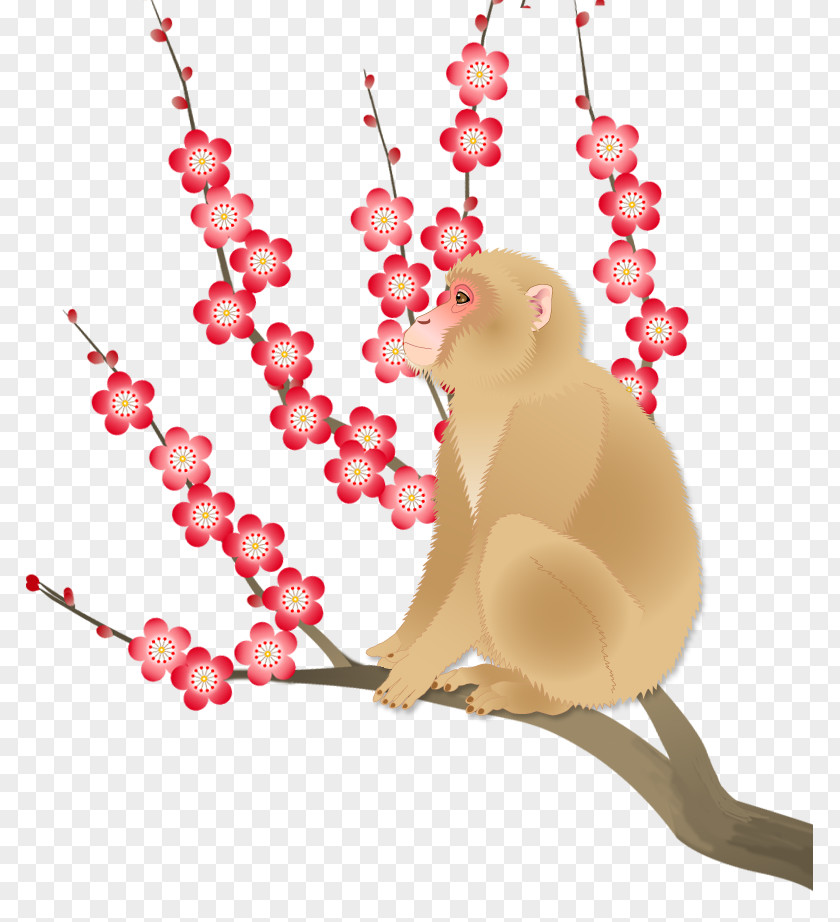 Monkey Cat Heart Illustration PNG