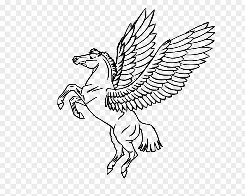 Pegasus Coloring Book Flying Horses Unicorn PNG