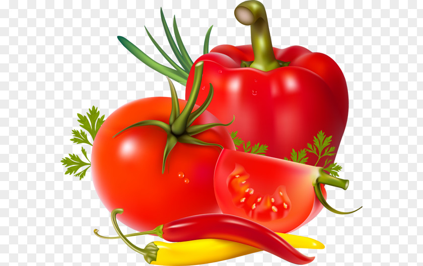Peppers Salsa Tomato Juice Vegetable Chili Pepper PNG