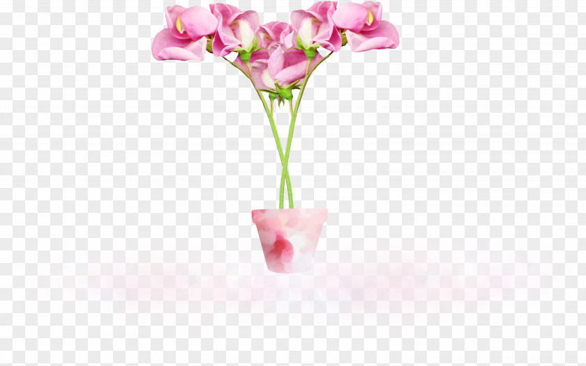 Pink Creative Rich Flowers Moth Orchids Vase Cut Still Life Photography PNG