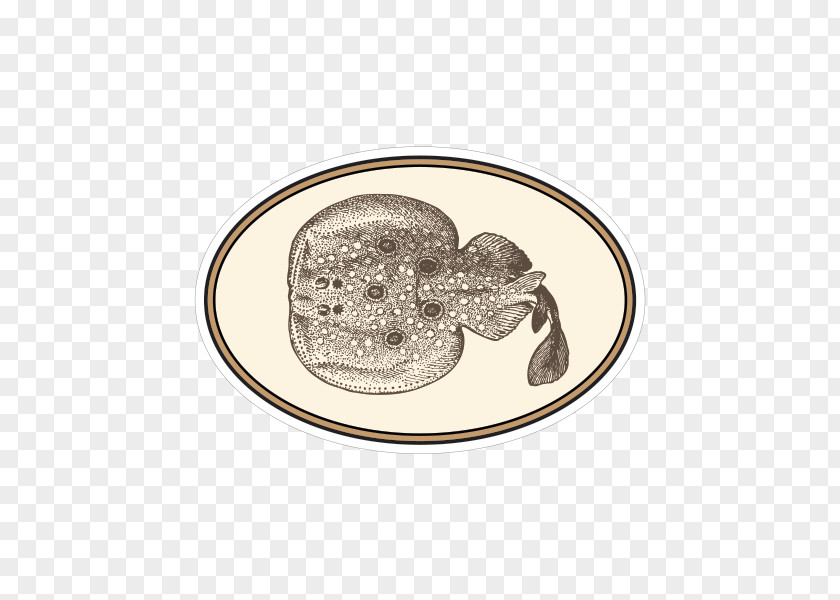 Silver Coin Fish PNG