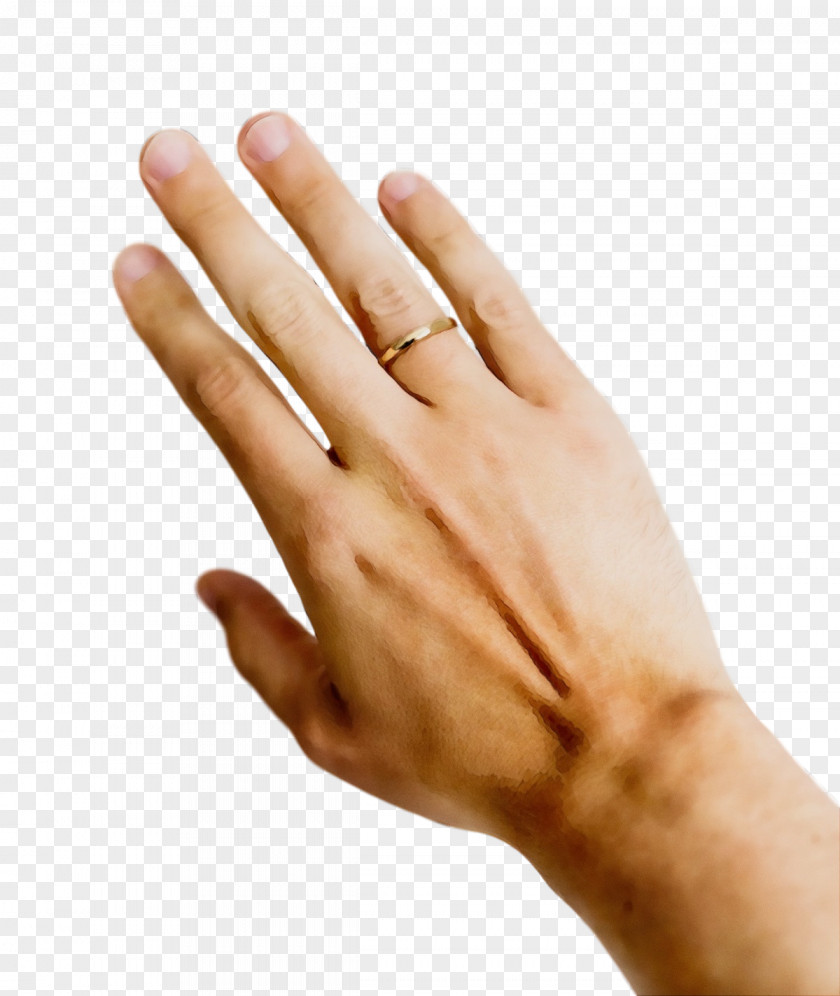 Wedding Ring PNG