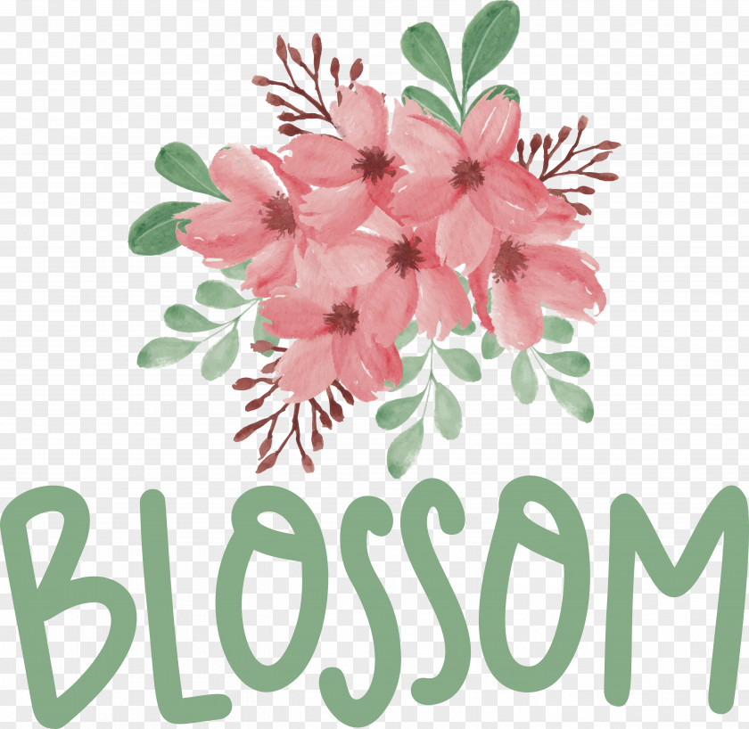 Floral Design PNG