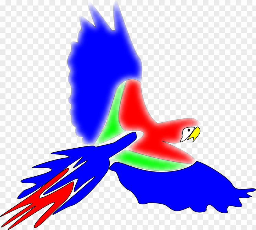Flying Bird Parrot Clip Art PNG