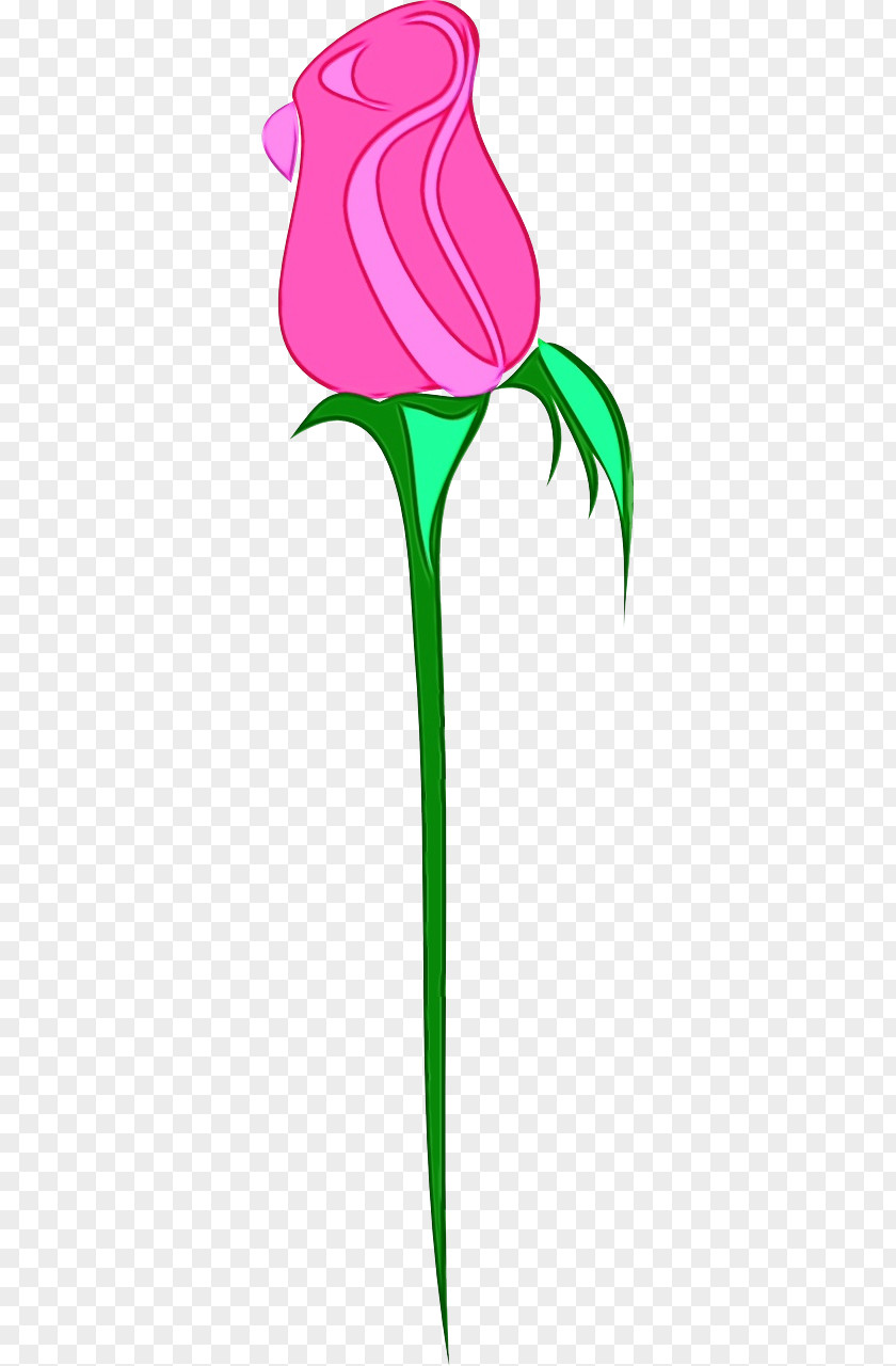 Lily Family Pedicel Flower Cartoon PNG