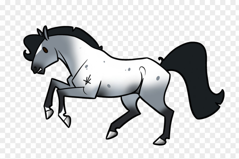 Mustang Mule Stallion Colt Mane PNG