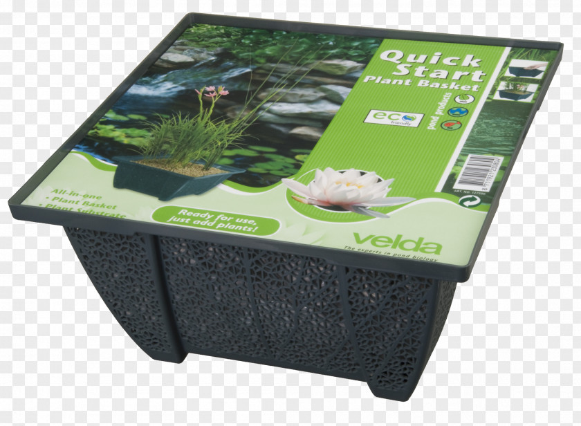Plant Aquatic Plants Pond Sowing Water PNG