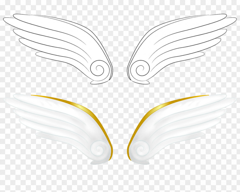 Simple Wings Feather Butterfly Pollinator Line Art Beak PNG