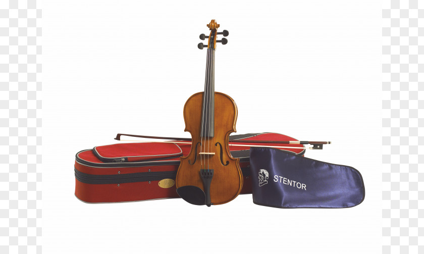 Violin Musical Instruments String Tonewood PNG