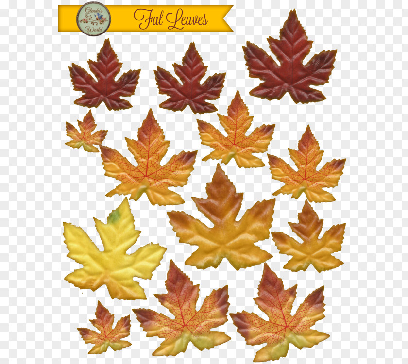 Falling Paper Blog Maple Leaf Photography PNG