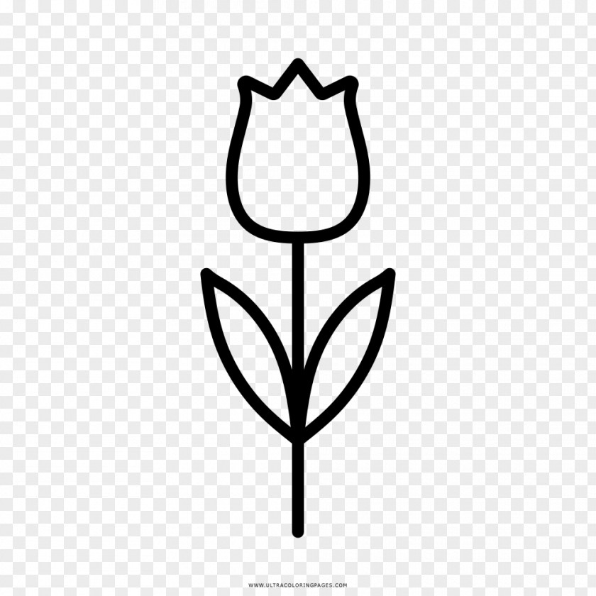 Flower Tulip Coloring Book Drawing PNG