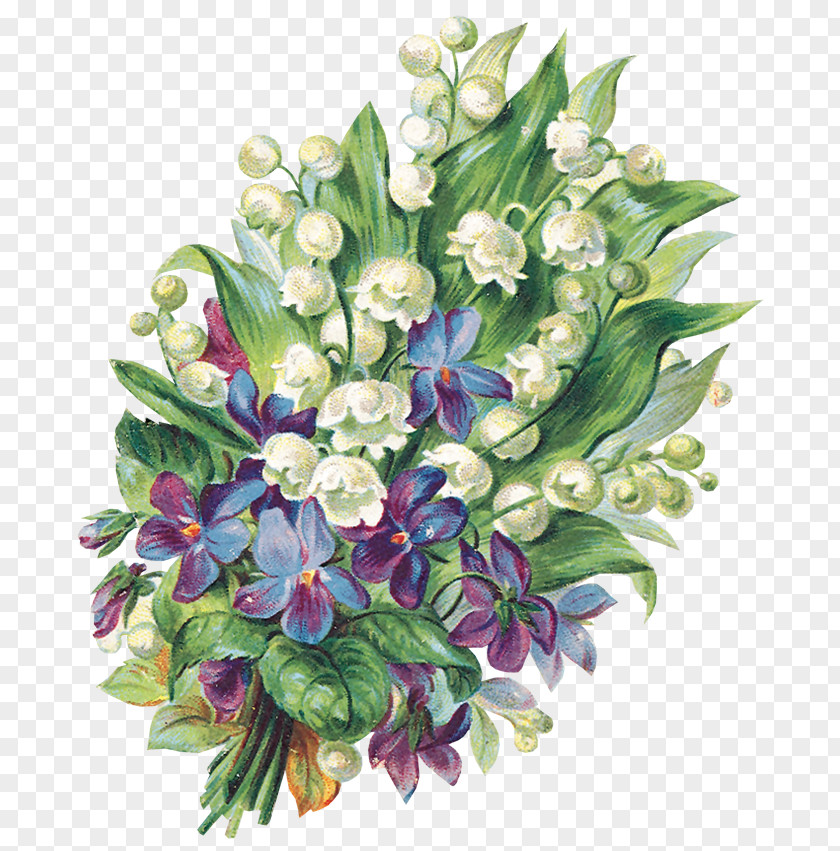 Gentiana Dendrobium Floral Flower Background PNG