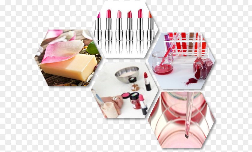 Make-up Brush Formulation Cosmetics International Nomenclature Of Cosmetic Ingredients PNG