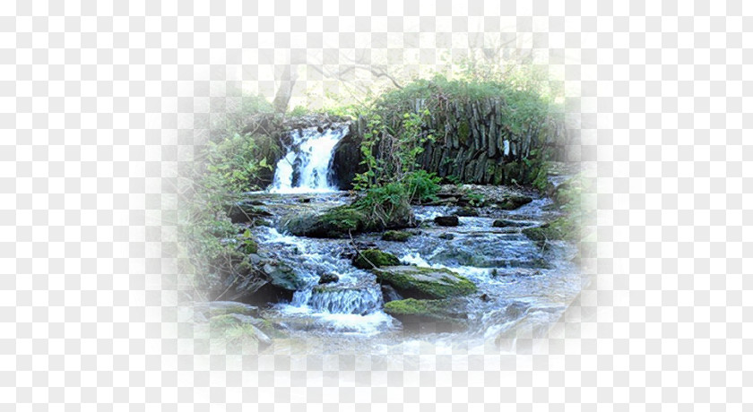 Nature Reserve Courage Water Resources Anjinho Da Guarda Waterfall PNG