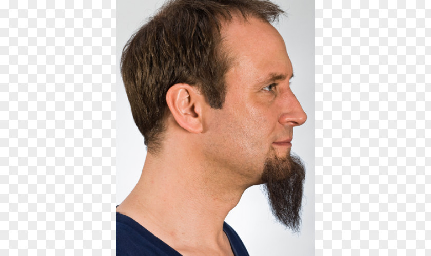 Beard Chin Goatee Facial Hair Sideburns PNG