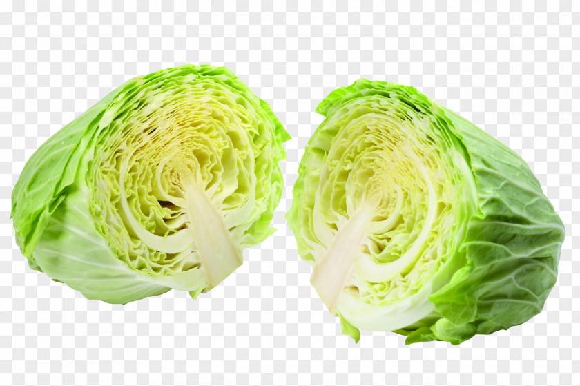 Cut Cabbage Napa Vegetable Nutrition Food PNG