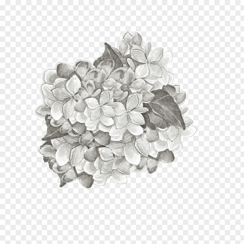 Grey Plant Cultivation Black And White Petal Pattern PNG