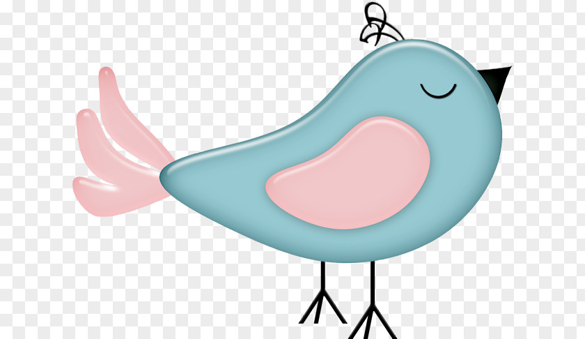 Pajarito Bird Pin Drawing Clip Art PNG