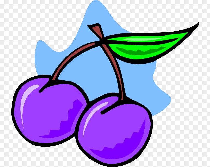 Purple Cherry Plum U674eu5b50 Auglis Clip Art PNG