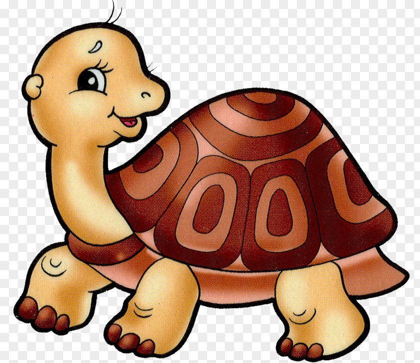 Turtle Tortoise And Paper Clip Art PNG