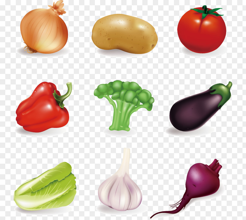 Vector Elements Vegetables Vegetable Fruit Food Clip Art PNG