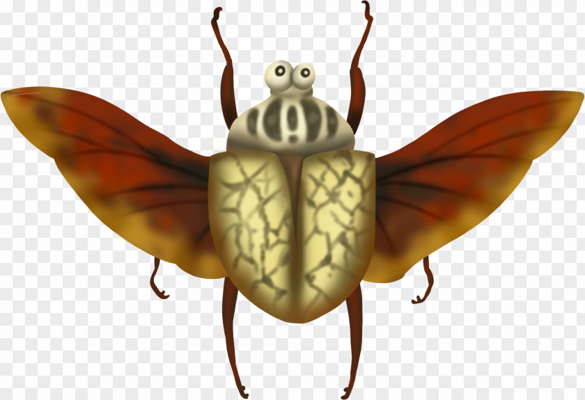 Wing Pest Leaf Drawing PNG