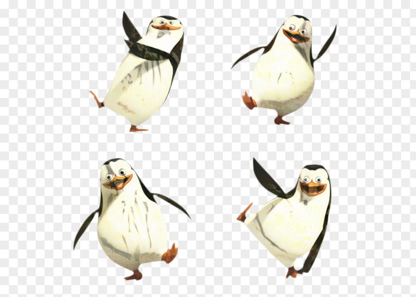 Animal Figure Gentoo Penguin Cartoon Bird PNG