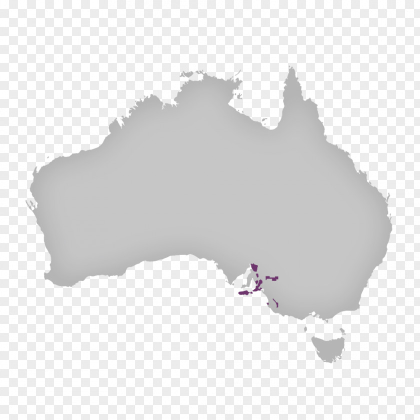 Australia Vector Map PNG