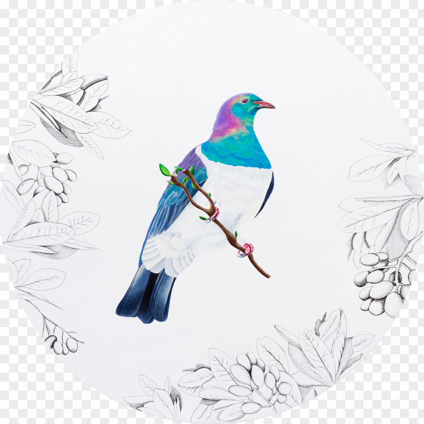 Bird Watercolor New Zealand Pigeon Drawing Art PNG