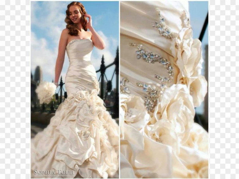 Dress Wedding Bride Ball Gown Skirt PNG