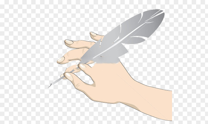 Holding A Quill Pen Ink Feather PNG