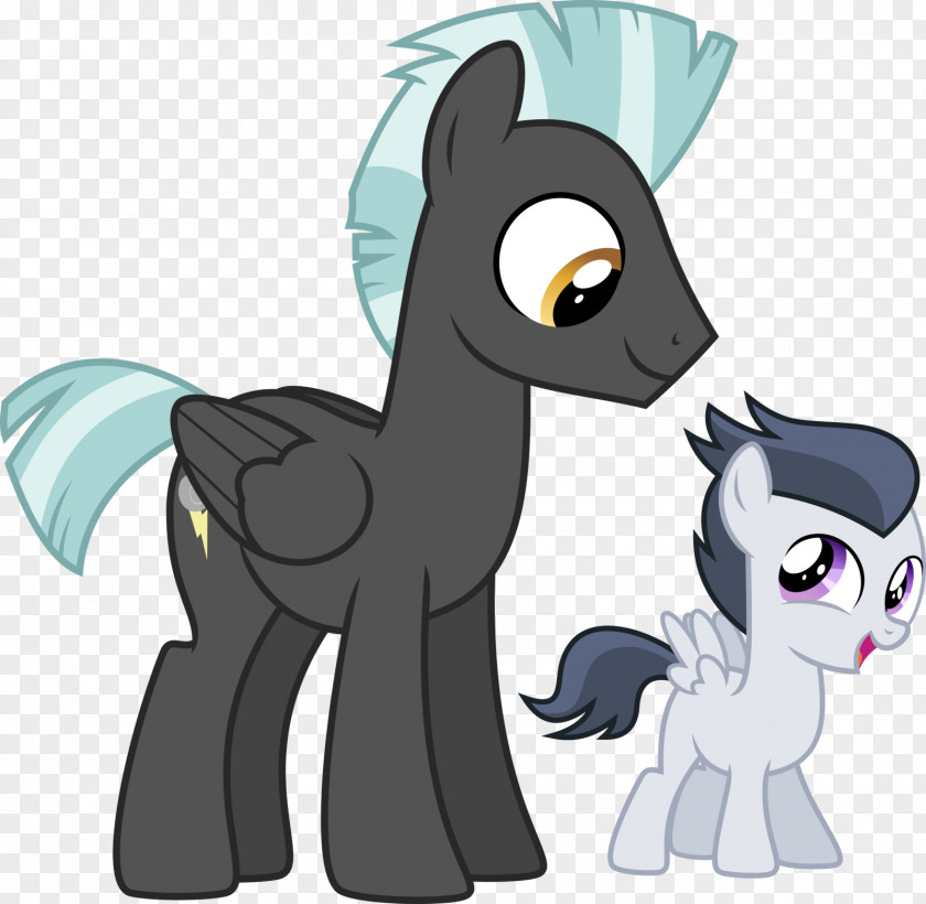 Horse Pony Rainbow Dash Thunderlane Inspiration Manifestation PNG