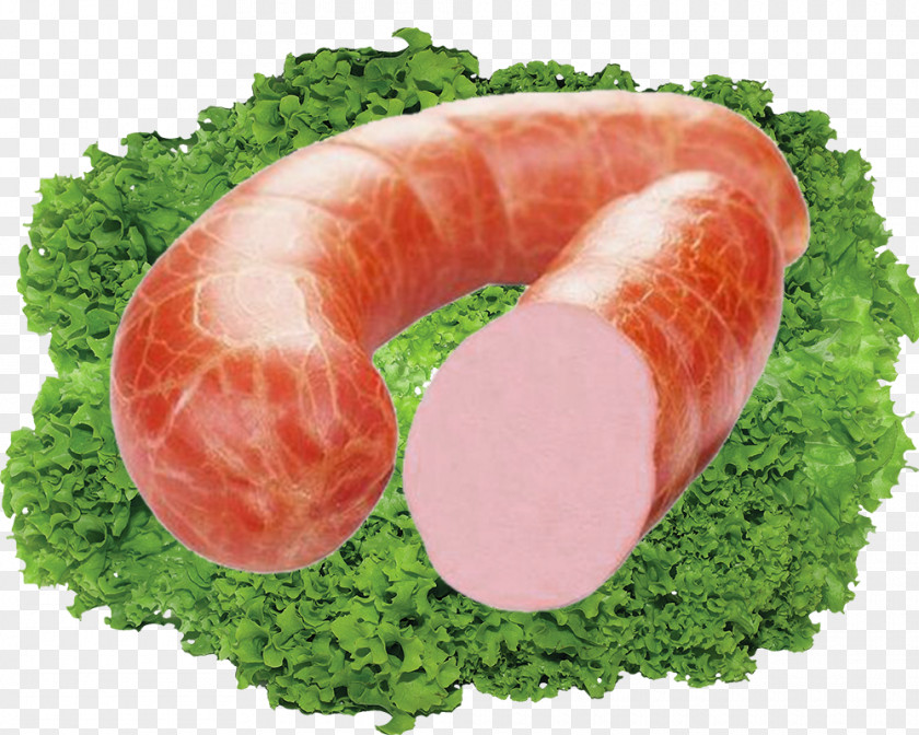 Hot Dogs And Take Their Food Material Bratwurst Sausage Dog Ham Bacon PNG