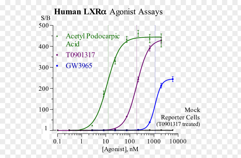 Agonist Receptor Line Angle Font PNG