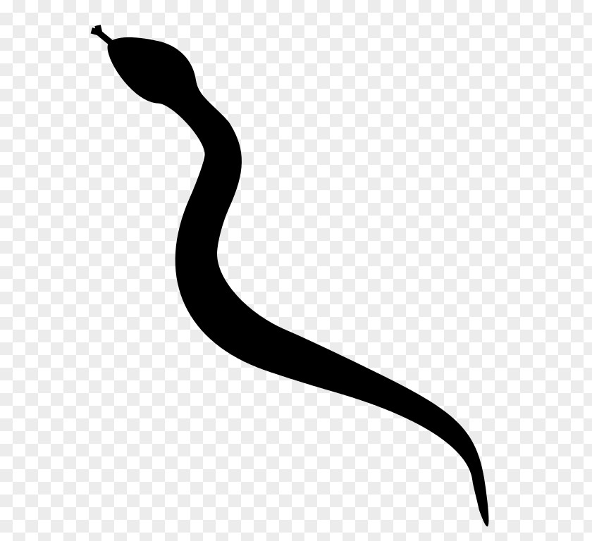 Anaconda Rattlesnake Silhouette Clip Art PNG