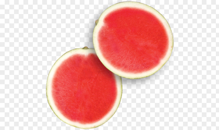 Cantaloupe Melon Watermelon Peel Fruit Sweetness PNG