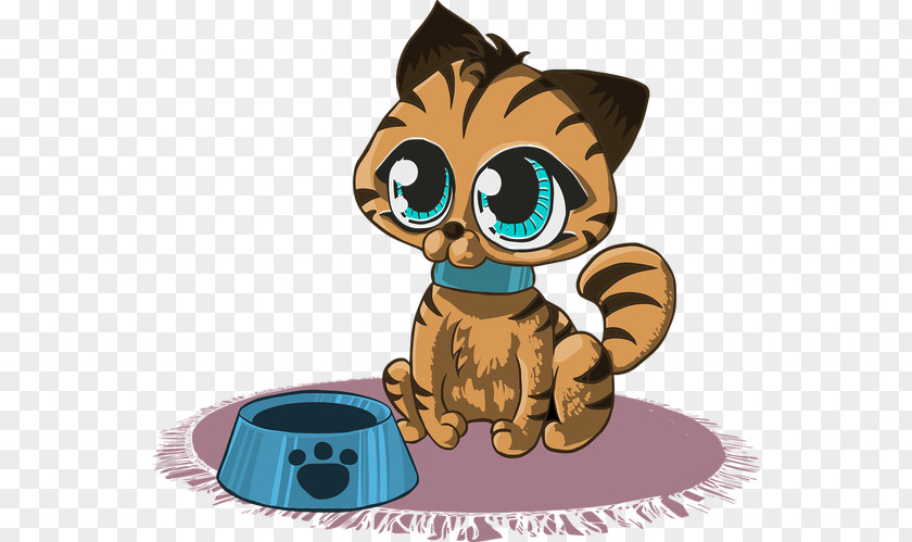 Cat's Eye Kitten Cat Clip Art PNG