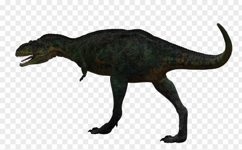 Dinosaur Creative Aucasaurus Tyrannosaurus PNG