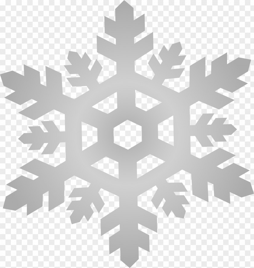Gray Snowflake Pattern AutoCAD DXF Computer File PNG