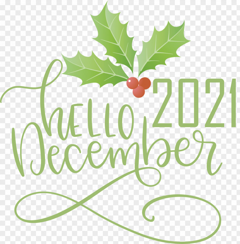 Hello December December Winter PNG