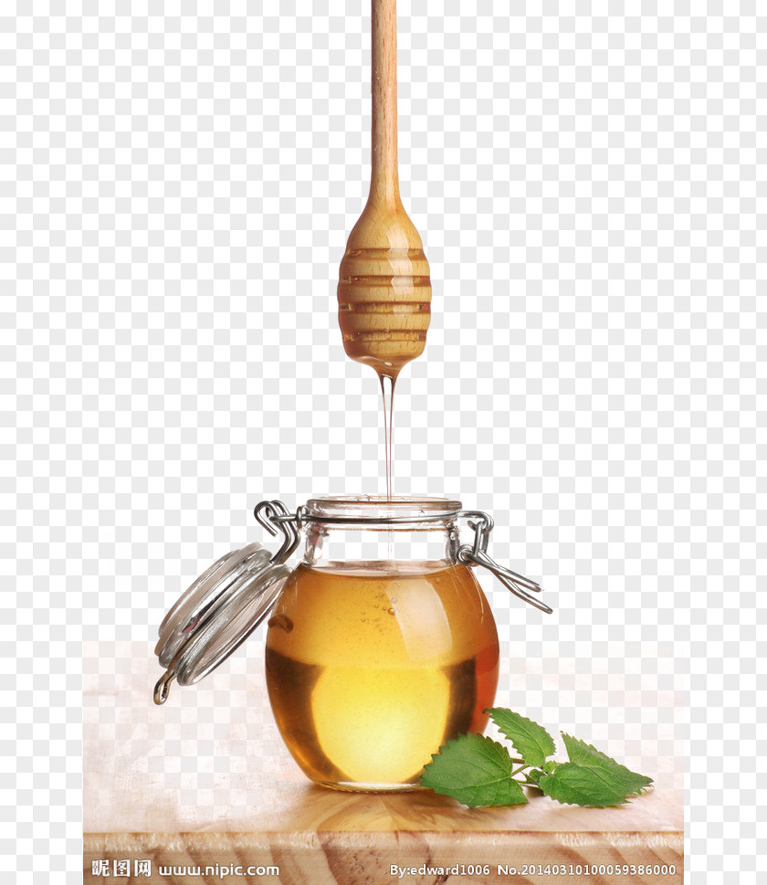 Honey Bee Avocado Skin Auglis PNG