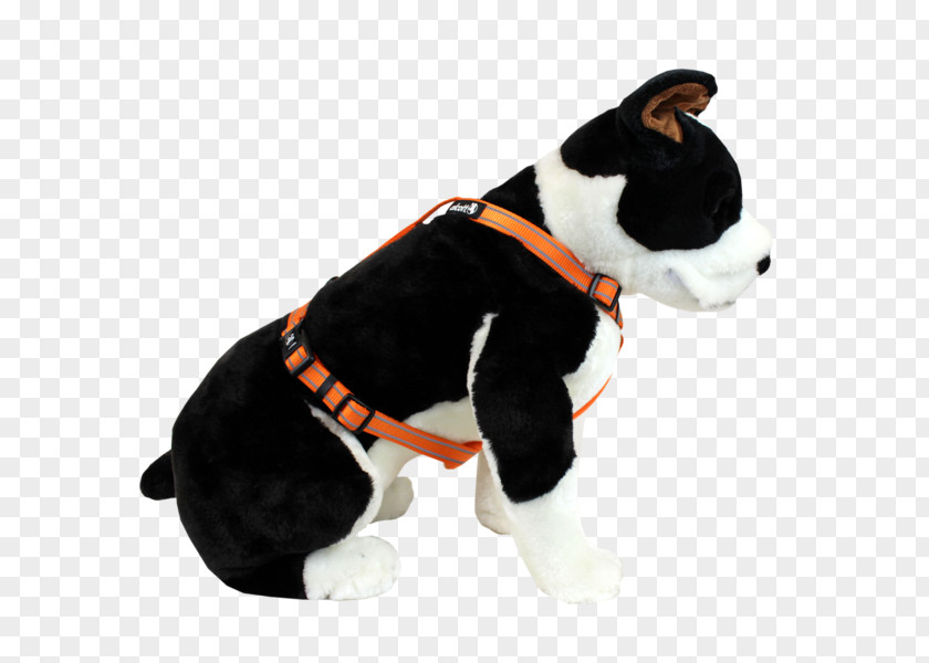 Keep Pets Dog Breed Boston Terrier Golden Retriever Puppy Harness PNG