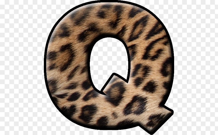 Q Letter Alphabet Initial PNG