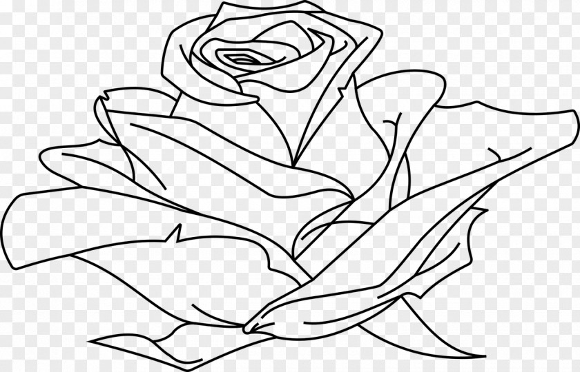 Rose Outline Line Art Drawing Clip PNG