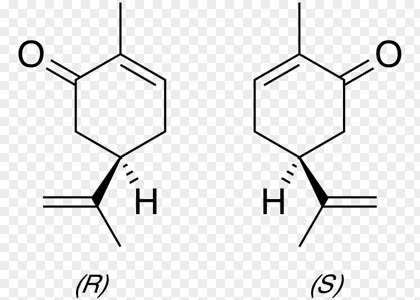 Sucralose Carvone Enantiomer Olfaction Mentha Spicata Essential Oil PNG