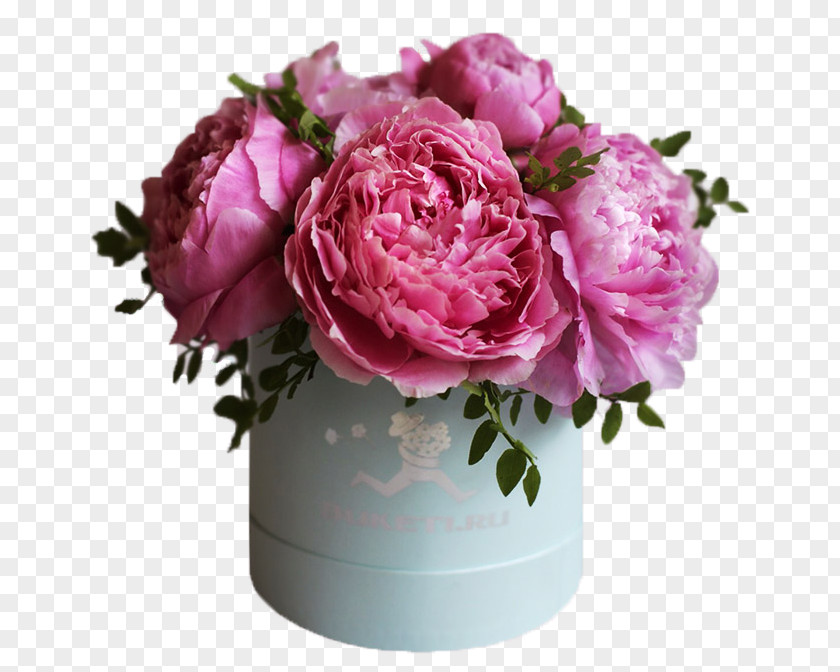 Vase Garden Roses Cabbage Rose Floral Design Cut Flowers PNG