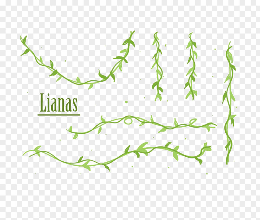 Epilobium Vector Graphics Liana Clip Art Illustration Design PNG