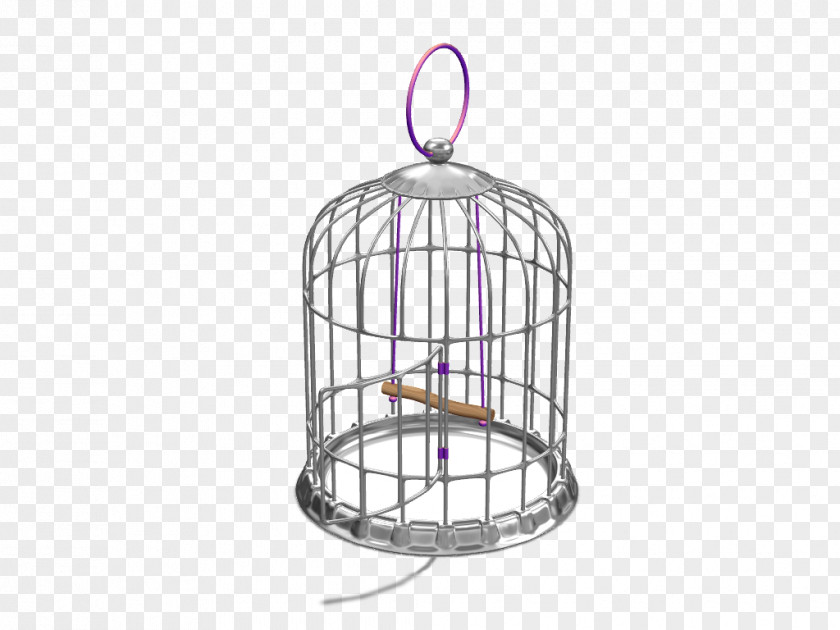 Birdcage Iron PNG