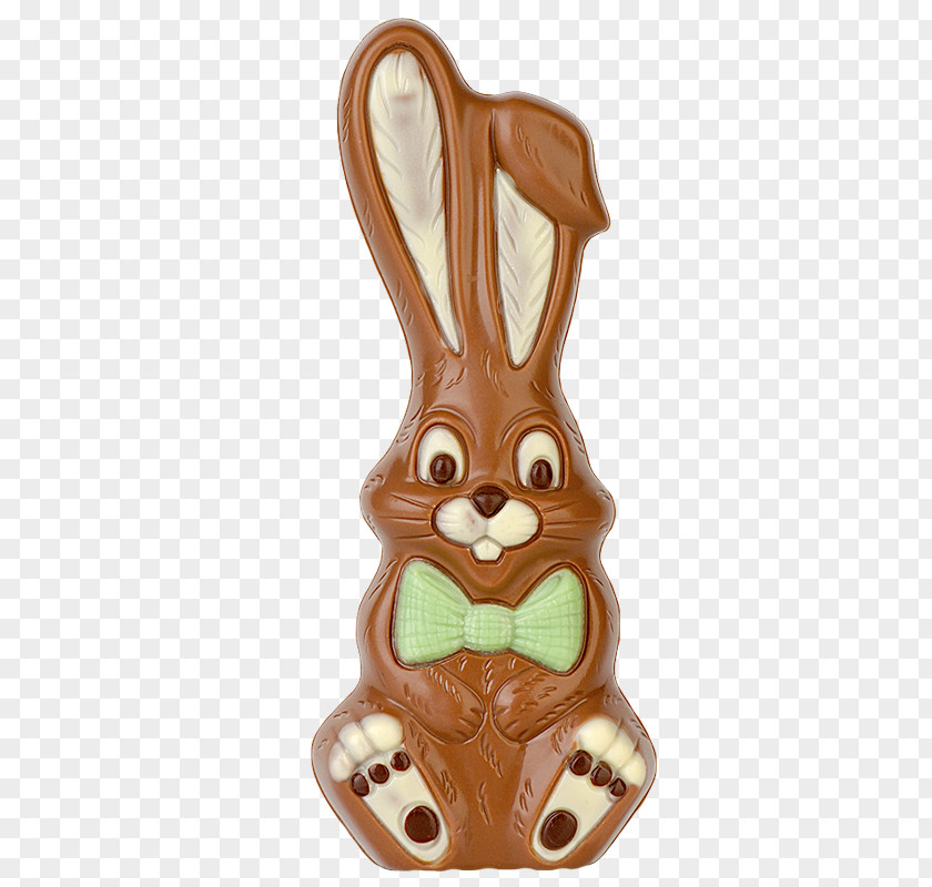 Easter Bunny PNG