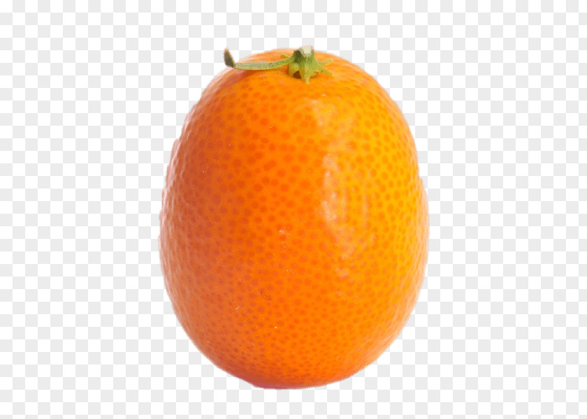 Grapefruit Organic Food Mandarin Orange Blood Tangerine Fruit PNG